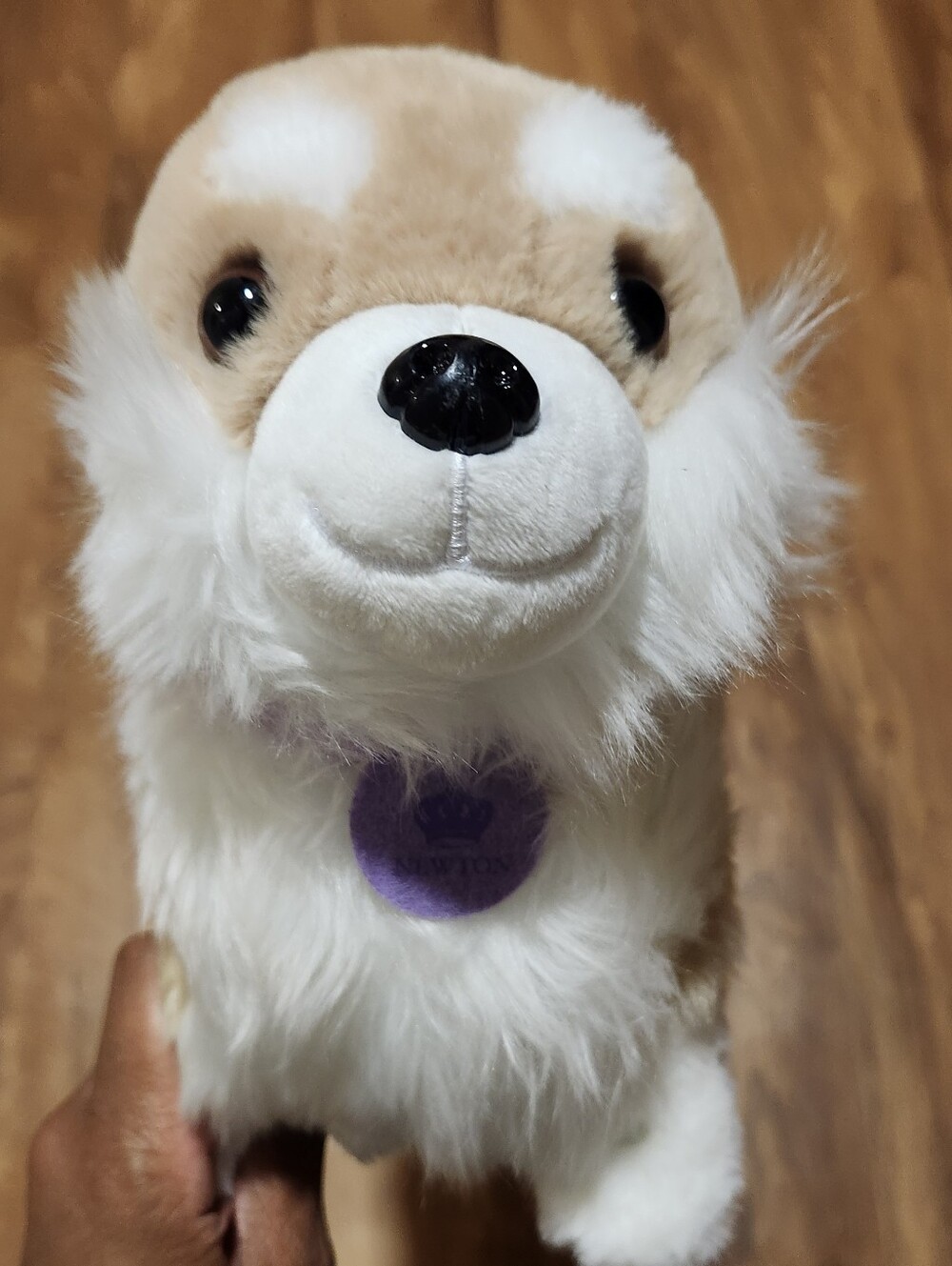 Briderton Event Stuffed Corgie